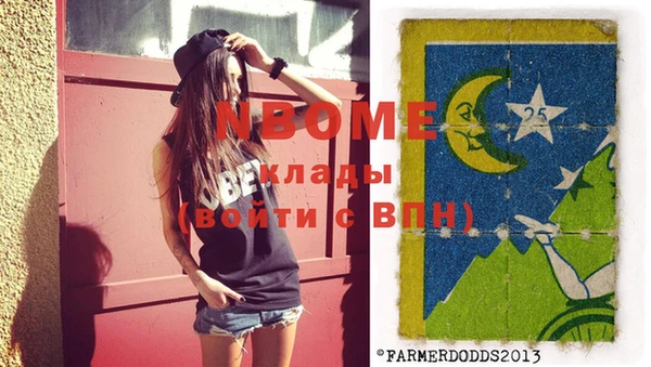 прущие грибы Балабаново