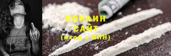 прущие грибы Балабаново
