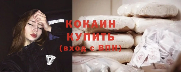 крисы Баксан