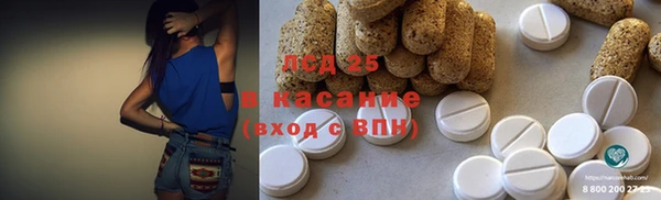 прущие грибы Балабаново