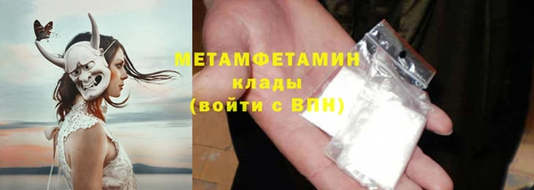 крисы Баксан