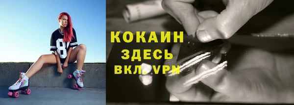 крисы Баксан