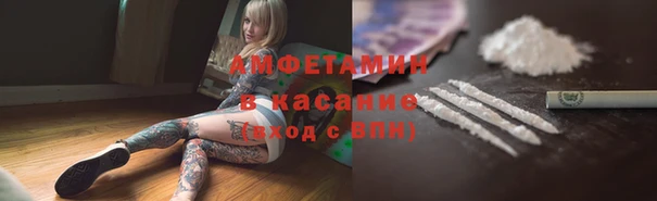 прущие грибы Балабаново