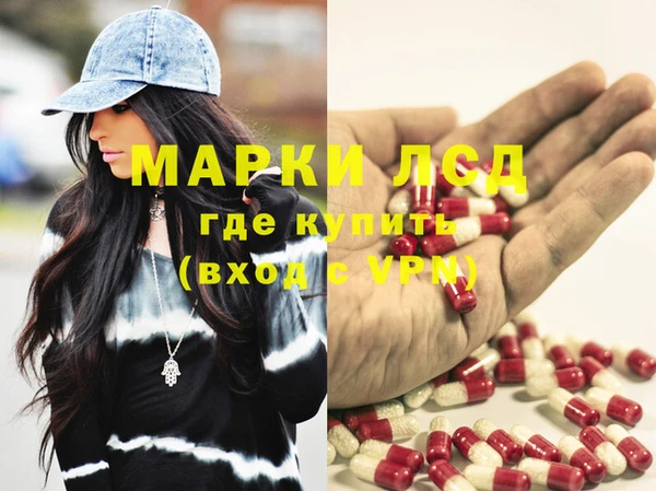 прущие грибы Балабаново