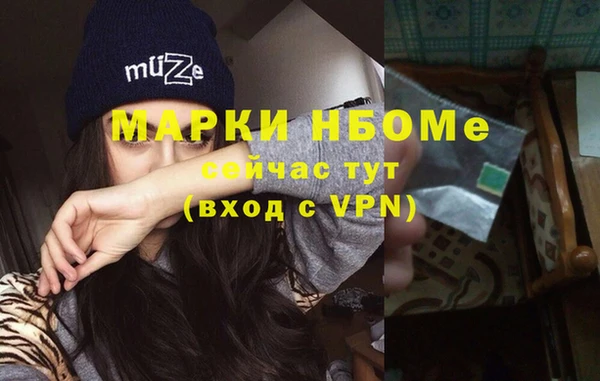 крисы Баксан