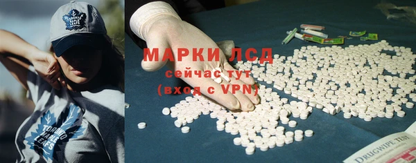 крисы Баксан