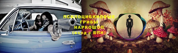 крисы Баксан