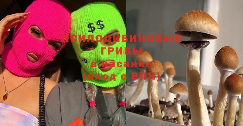 Псилоцибиновые грибы Magic Shrooms  мега как зайти  Вяземский 